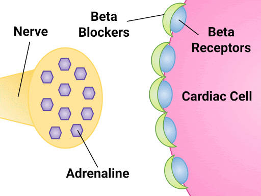 Mechanism of Action