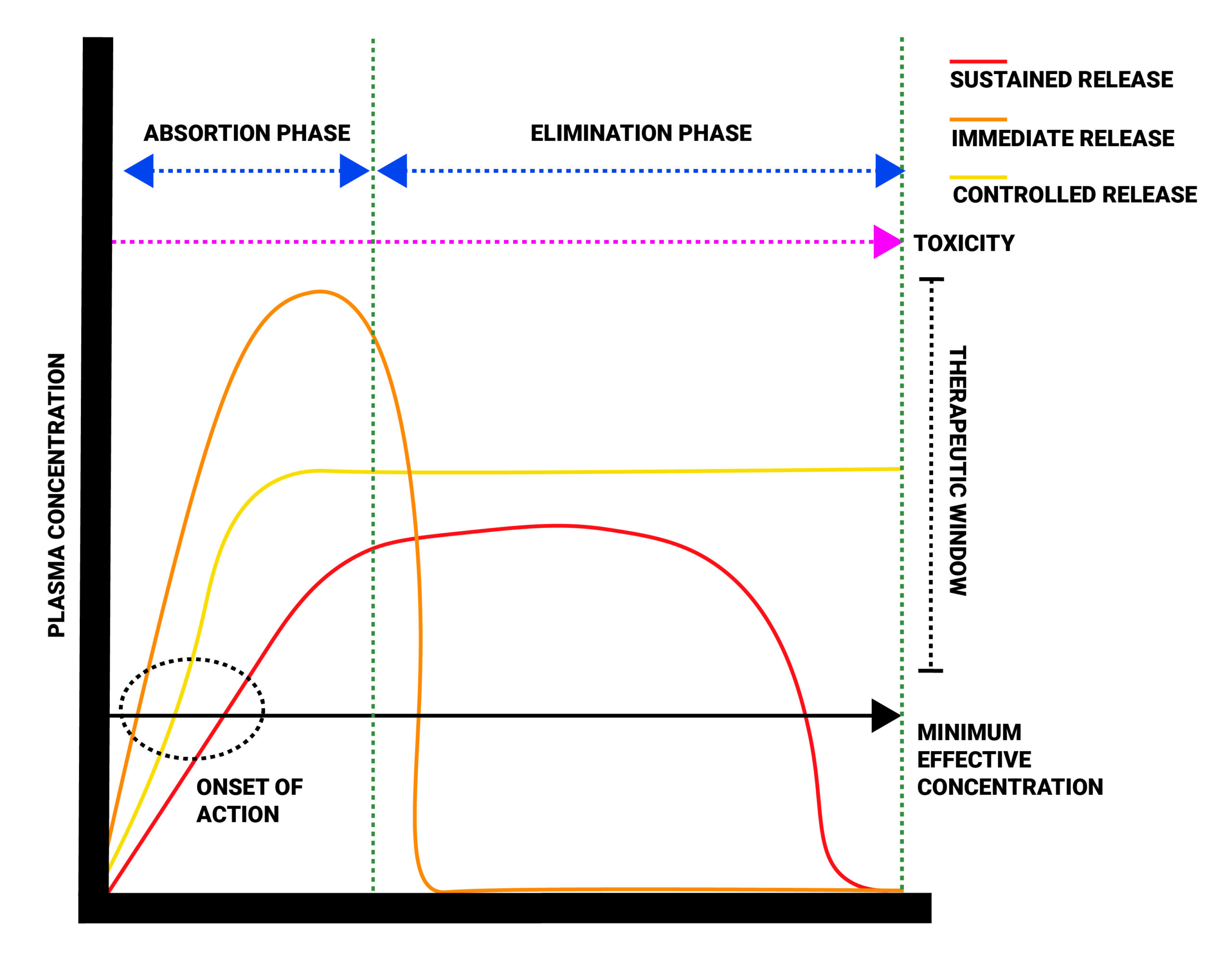 Immediate-release produces a rapid peak, sustained-release prolongs drug exposure, and controlled-release maintains concentrations within the therapeutic window for an extended period.